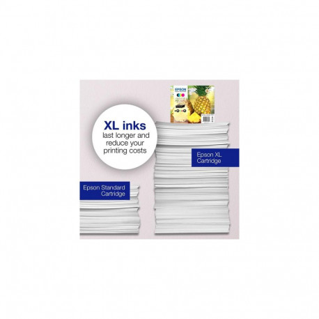 Epson Singlepack Black 604XL Ink