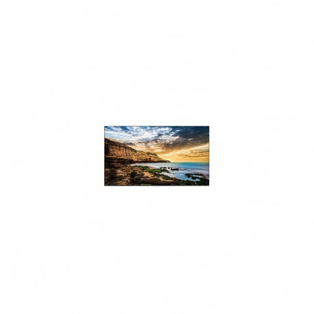SAMSUNG 98" QE98C UHD 450 NITS 16/7 SOC WIFI.