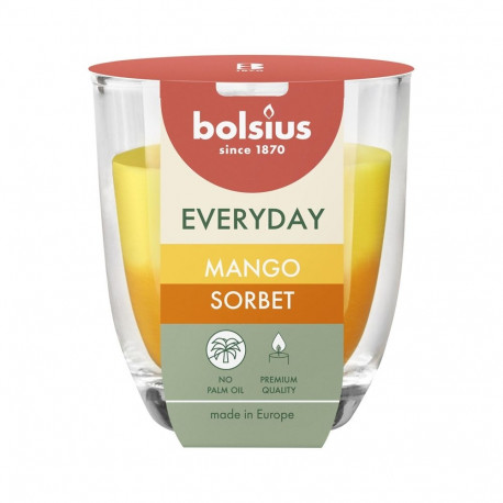 CANDLE SCENTED MANGO SORBET H8CMD7CM