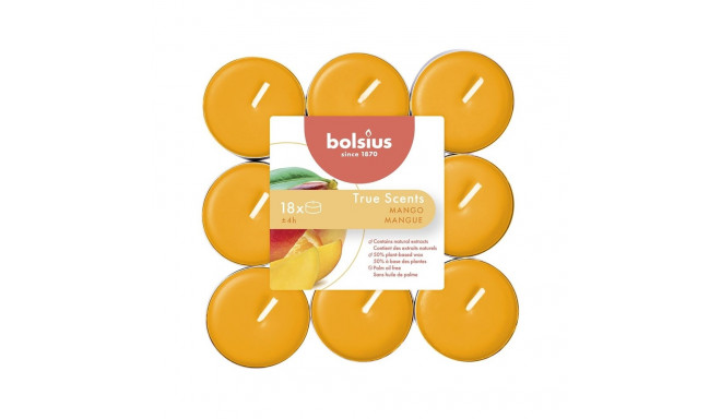 teeküünlad 18tk, mango lõhnaga