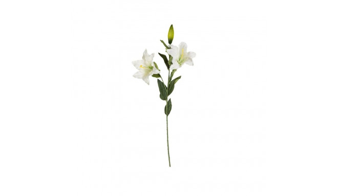 Kunstlill (094.40) liilia