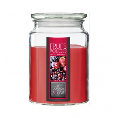CANDLE SCENT NINA FRU GLASS 157747H 510G