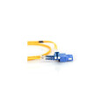 Digitus Fiber Optic Singlemode Patch Cord, LC / SC