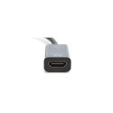 Digitus DisplayPort Adapter / Converter, DP - HDMI
