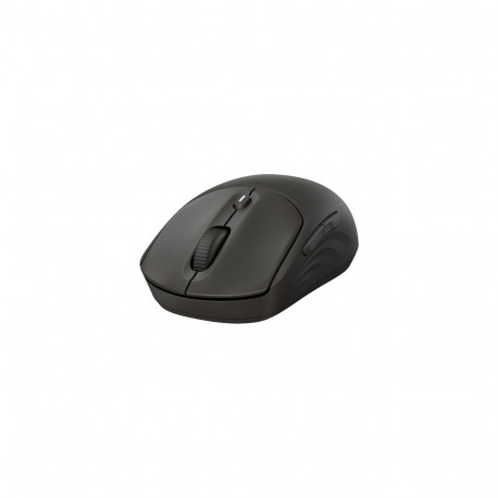HP juhtmevaba hiir 405 vaikne EMEA-INT, must