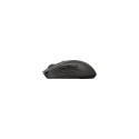 "HP 405 Quiet Wireless-Maus EMEA-INT, schwarz"