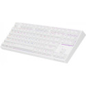 Genesis Thor 404 TKL Kailh Brown Box (US)