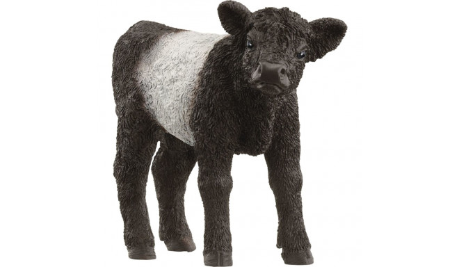 Farm World Galloway Kalb