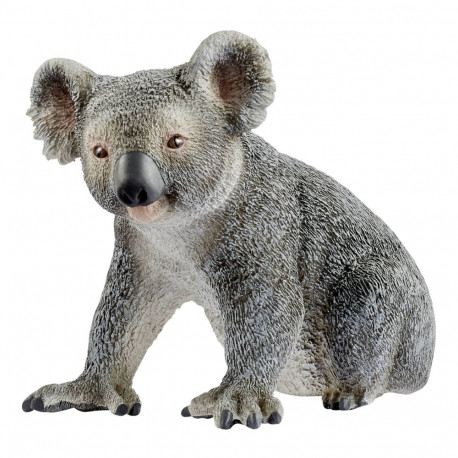 Wild Life Koala