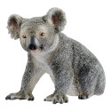Wild Life Koala