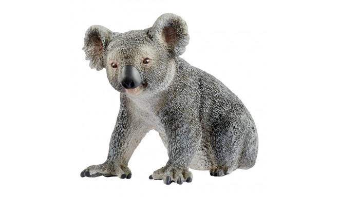 Wild Life Koala