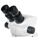 Levenhuk ZOOM 1B Binocular Microscope