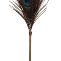 Peacock kõditaja