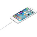 "Apple Lightning - USB Kabel 1M Retail"