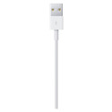 Apple Lightning - USB kaabel 1M jaemüügipakend