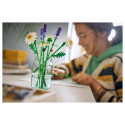 "LEGO 11508 Botanicals Gnseblmchen"