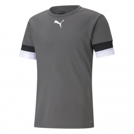 Puma meeste särk teamRISE Smoked 704932 13, hall