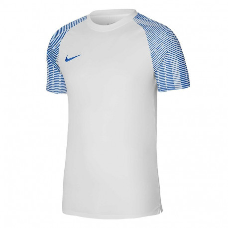 Nike meeste t-särk Dri-FIT Academy JSY SS DH8031 102, valge-sinine