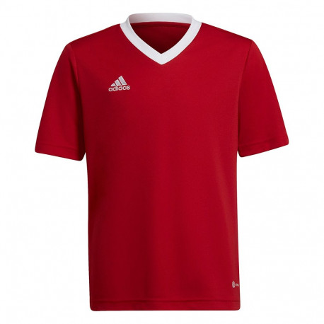 adidas laste särk Entrada 22 Jsy H57496, punane