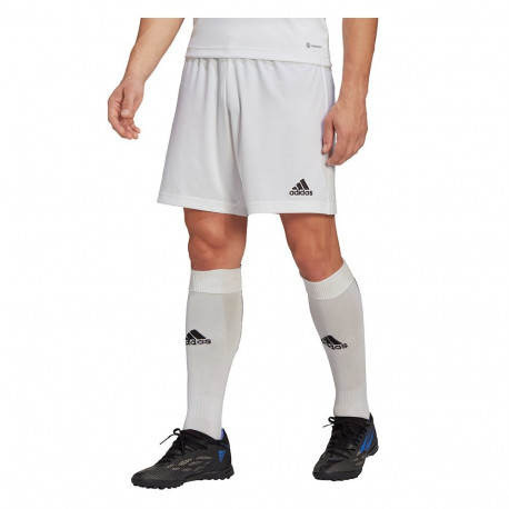 adidas meeste lühikesed püksid Entrada 22 HG6295, valge