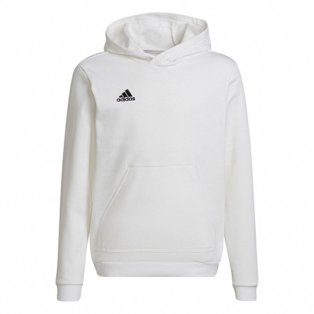 Adidas laste pusa Entrada 22 Hoody HG6303, valge