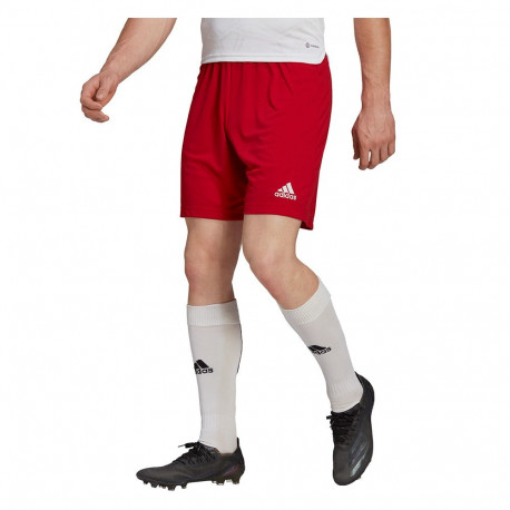Adidas meeste lühikesed püksid Entrada 22 H61735, punane