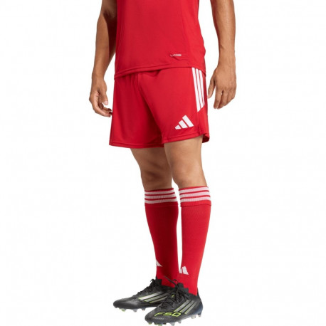 adidas meeste lühikesed püksid Tiro 26 League KA8791, punane