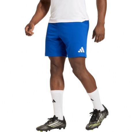 Adidas meeste lühikesed püksid Entrada 26 JZ2520, sinine