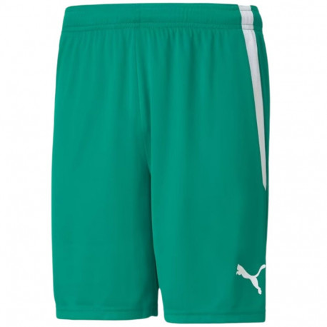 Puma meeste lühikesed püksid teamLIGA 704924 05, roheline