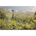 Manfrotto statiivikomplekt MKONEPA-BHQ6T ONE Photo Aluminium with XPRO Ball Head