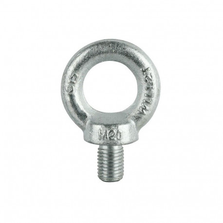 SCREW-LOOP DIN580 M6 ZN(50)