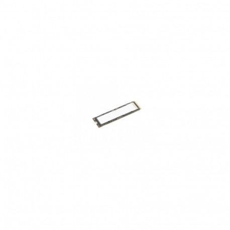LENOVO TS 1TB PERFORMANCE PCIE GEN5 NVME OPAL2 M.2 2280 SSD