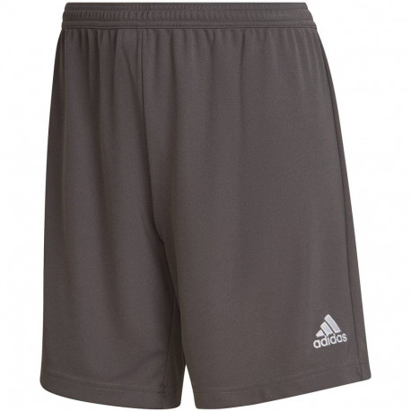 Adidas naiste lühikesed püksid Entrada 22 HH9995, hallid