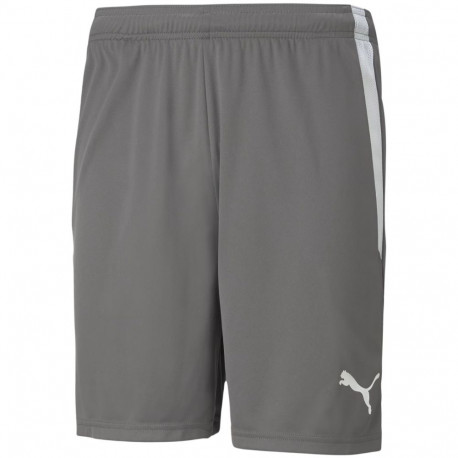 Puma meeste lühikesed püksid teamLIGA 704924 13, hall