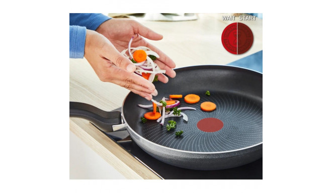 TEFAL pann H0560342 So'Light 22cm induktsioonile sobiv fikseeritud käepide, hall