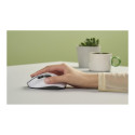 Asus Mouse | MD105 | Wireless | Bluetooth, 2.4GHz | Volt Green