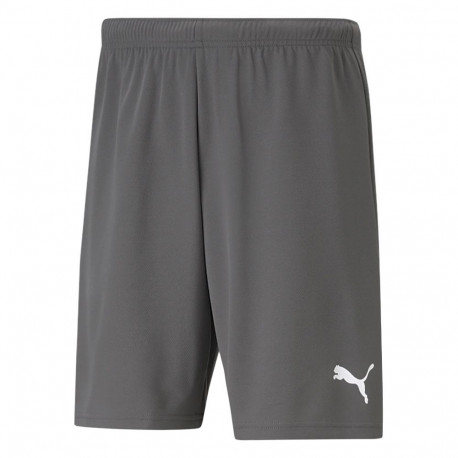 Puma meeste lühikesed püksid teamRISE Short 704942 13, hall