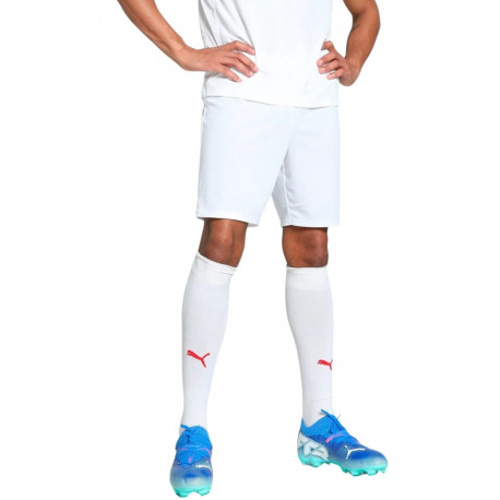 Puma meeste lühikesed püksid Team Goal 705752 04, valge
