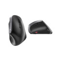 Input Device - Cherry Mouse MW 4500 Wireless, 1200 DPI, 2 Thumb Buttons, Black