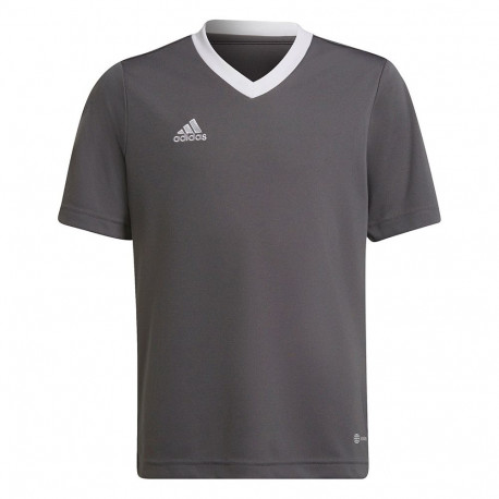 Koszulka dla dzieci adidas Entrada 22 Jsy szara H57499