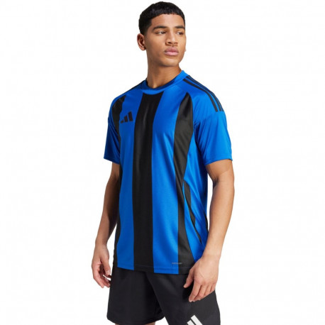 adidas meeste spordisärk Striped 24 Jersey IW2147, sinine-tumesinine