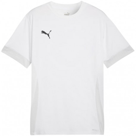 Puma meeste särk teamGoal Matchday Jersey 705747 04, valge