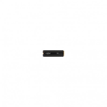 Disc T500 1TB M.2 NVMe 2280 PCIe40 7300/6800 Radiator