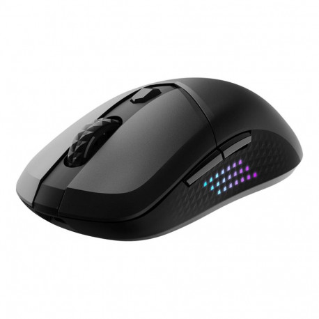 MSI mängurihiir VERSA 300 ELITE WIRELESS 2.4GHz Bluetooth 5.3 USB 2.0 4711377245951