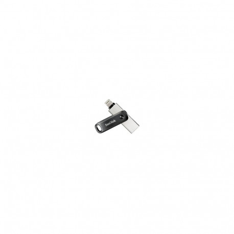 SanDisk mälupulk iXpand Go 256GB SDIX60N-256G-GN6NE