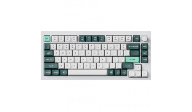 Keychron klaviatuuri korpus Q1 HE 75% magnetlülititega, valge