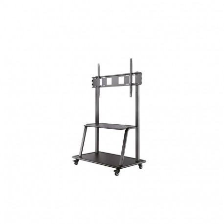 NewStar põrandastatiiv lameekraanile ratastega kõrgus 137-162cm 8717371447427