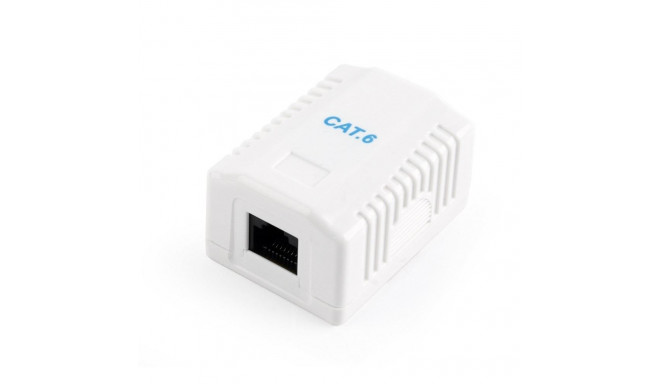 Network socket CAT6 UTP single port