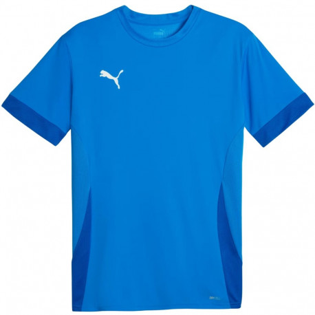 Puma meeste särk teamGoal Matchday Jersey 705747 02, sinine