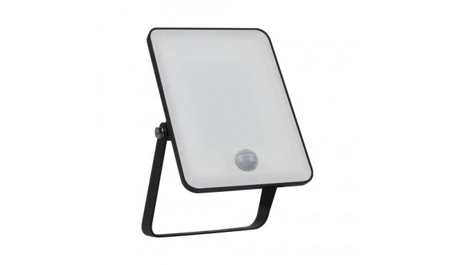 FLOODLIGHT LED ESS30W2850LM4000K IP65SEN